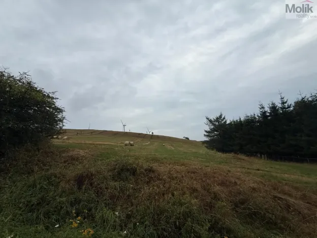 Prodej pozemku pro bydlení, Nová Ves v Horách, 3241 m2