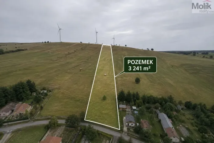 Prodej pozemku pro bydlení, Nová Ves v Horách, 3241 m2