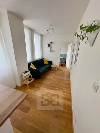 Pronájem bytu 2+kk, Praha - Vinohrady, Perucká, 35 m2
