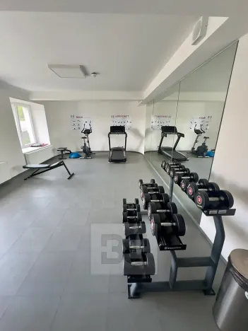 Pronájem bytu 2+kk, Praha - Vinohrady, Perucká, 35 m2
