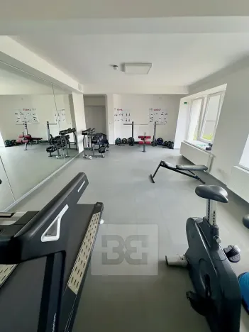 Pronájem bytu 2+kk, Praha - Vinohrady, Perucká, 35 m2
