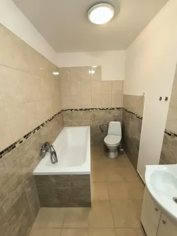 Pronájem bytu 1+kk, Ústí nad Labem, Londýnská, 52 m2