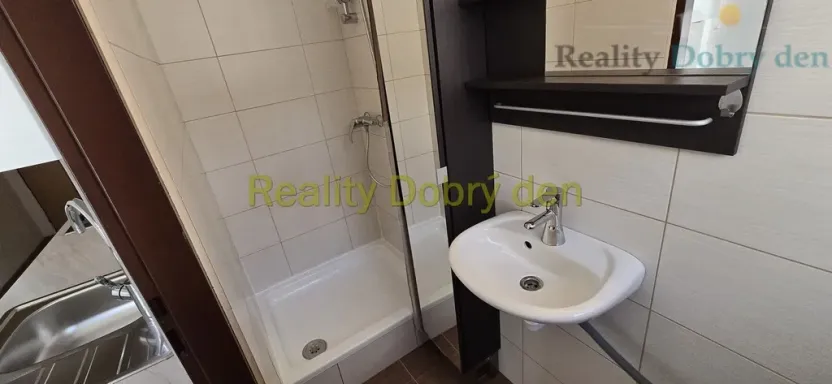Pronájem bytu 1+1, Opava, Sokolovská, 42 m2