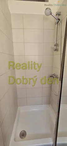 Pronájem bytu 1+1, Opava, Sokolovská, 42 m2