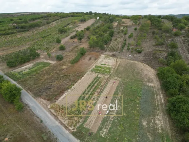 Prodej zahrady, Hustopeče, 3741 m2