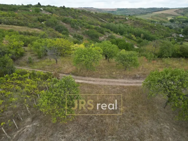 Prodej zahrady, Hustopeče, 3741 m2