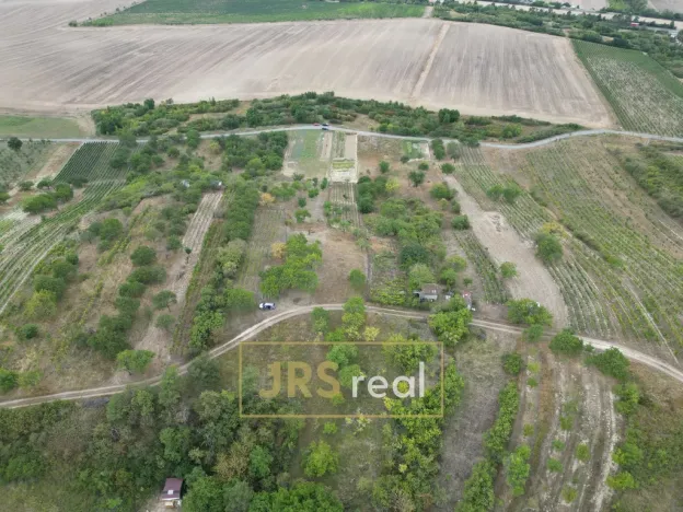 Prodej zahrady, Hustopeče, 3741 m2