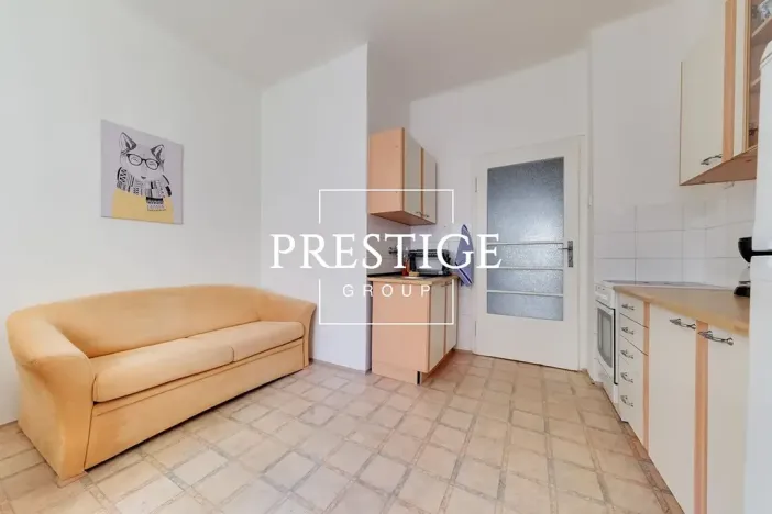 Pronájem bytu 2+kk, Praha - Nové Město, Na zbořenci, 48 m2