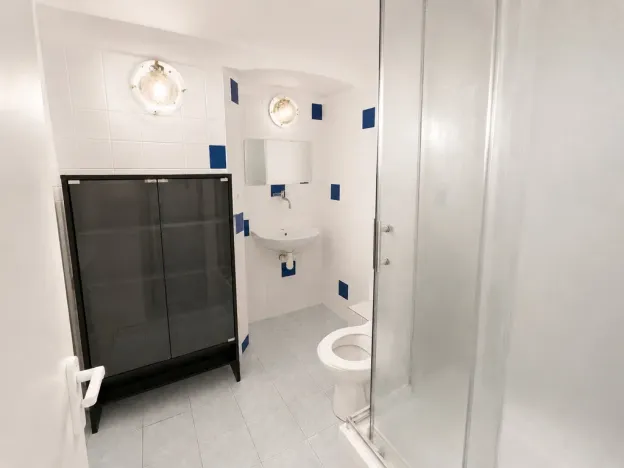 Pronájem ubytování, Praha, Seifertova, 342 m2