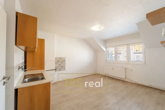 Prodej bytu 1+1, Brno - Veveří, 54 m2