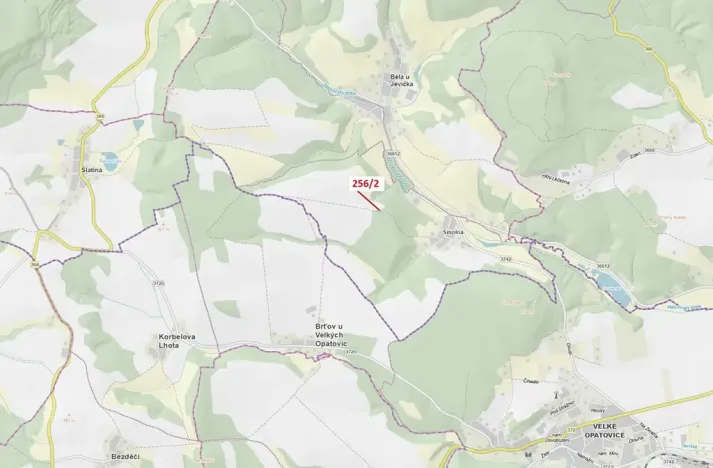 Dražba lesa, Bělá u Jevíčka, 198 m2