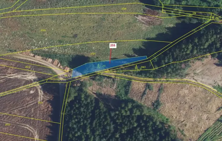 Dražba lesa, Bělá u Jevíčka, 498 m2