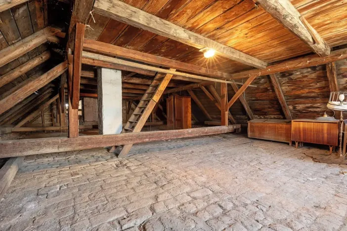 Prodej rodinného domu, Ryžoviště, Tyršova, 200 m2