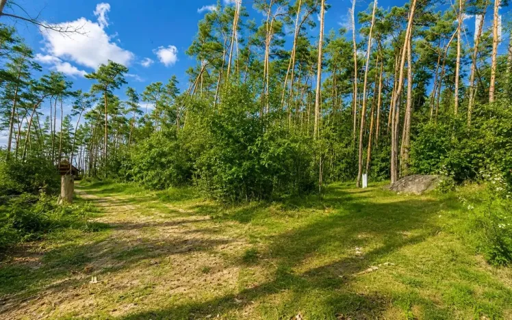 Prodej pozemku pro bydlení, Hradištko, Kersko, 4428 m2