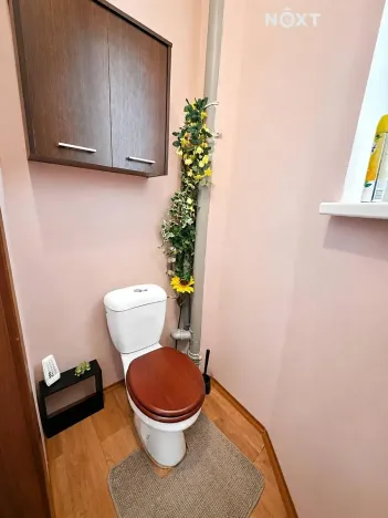 Pronájem bytu 2+kk, Plzeň, Čechova, 48 m2