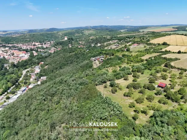 Prodej sadu/vinice, Dolní Kounice, 2107 m2