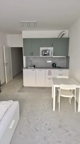 Pronájem bytu 1+kk, Praha - Vysočany, Gerstelova, 34 m2