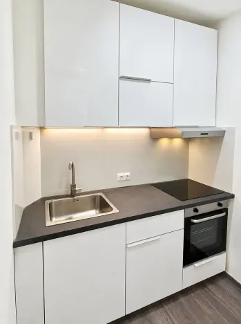 Pronájem bytu 2+kk, Praha - Vysočany, U vysočanského pivovaru, 50 m2