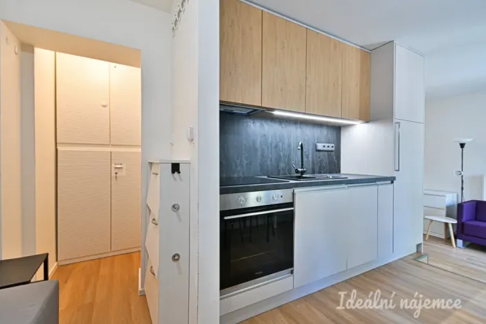 Pronájem bytu 1+kk, Brno, Netušilova, 32 m2