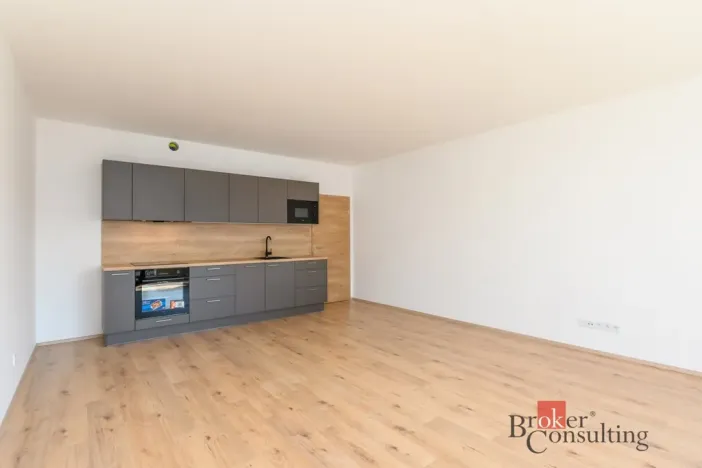 Pronájem bytu 2+kk, Plzeň - Jižní Předměstí, Železná, 56 m2