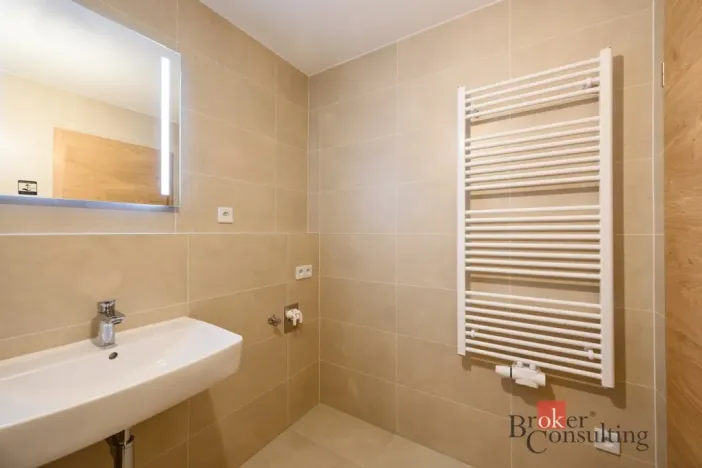 Pronájem bytu 2+kk, Plzeň - Jižní Předměstí, Železná, 56 m2