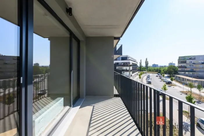 Pronájem bytu 2+kk, Plzeň - Jižní Předměstí, Železná, 56 m2
