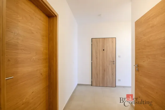 Pronájem bytu 2+kk, Plzeň - Jižní Předměstí, Železná, 56 m2