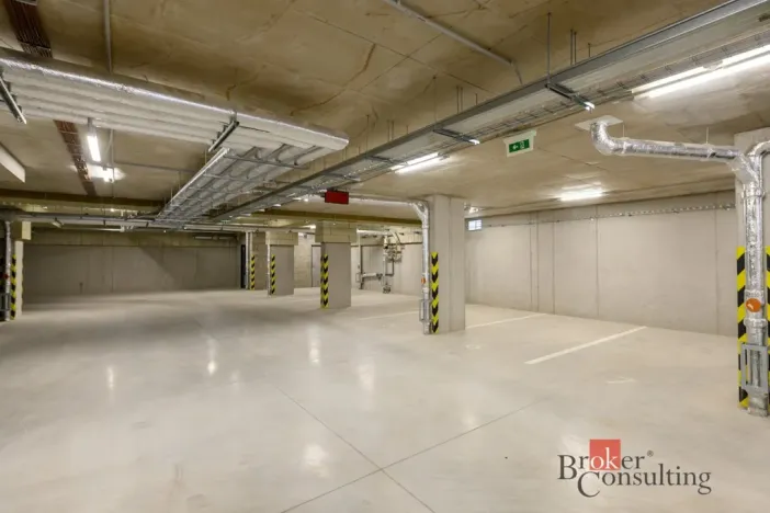 Pronájem bytu 2+kk, Plzeň - Jižní Předměstí, Železná, 56 m2