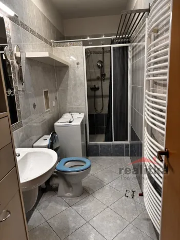 Pronájem bytu 1+kk, Opava - Předměstí, Na Nivě, 35 m2