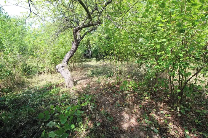 Prodej pozemku pro bydlení, Psáry, 1000 m2
