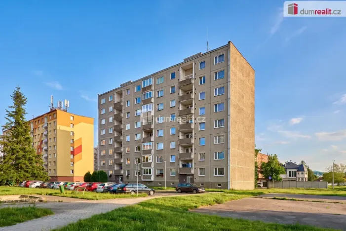 Prodej bytu 1+1, Ostrov, Družební, 41 m2