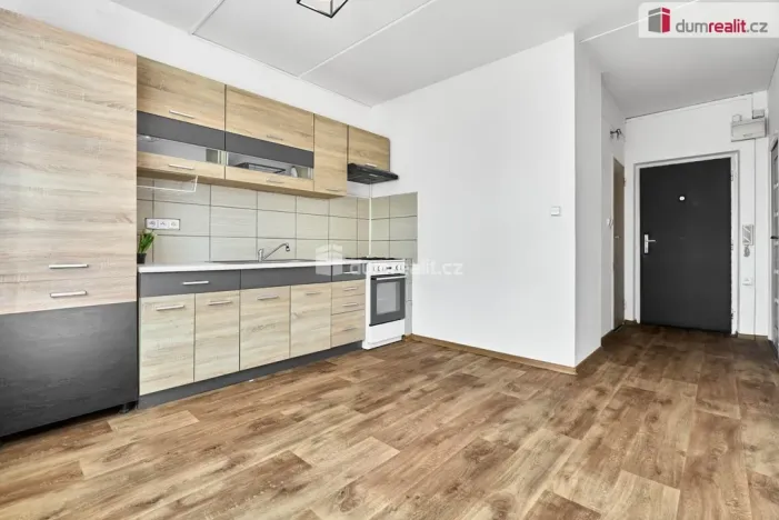 Prodej bytu 1+1, Ostrov, Družební, 41 m2