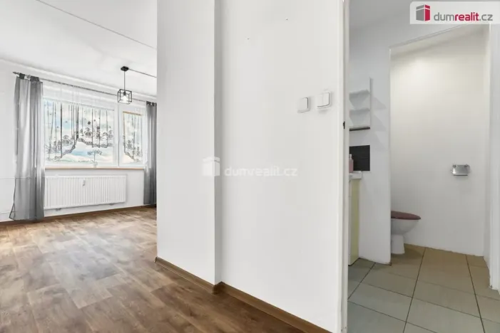 Prodej bytu 1+1, Ostrov, Družební, 41 m2