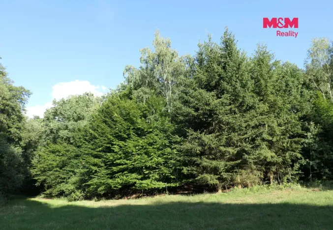 Prodej lesa, Chyňava - Lhotka u Berouna, 7138 m2