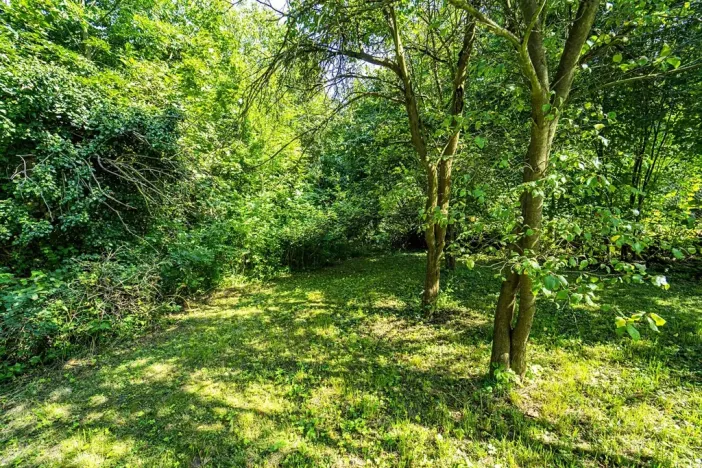 Prodej chalupy, Skalsko, 101 m2