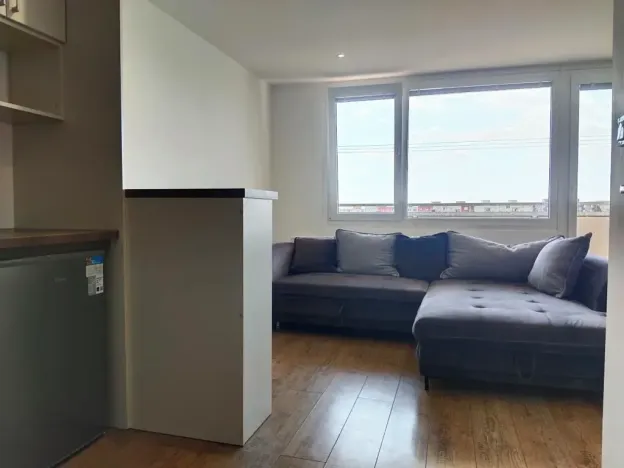 Pronájem bytu 1+kk, Plzeň, Sokolovská, 35 m2