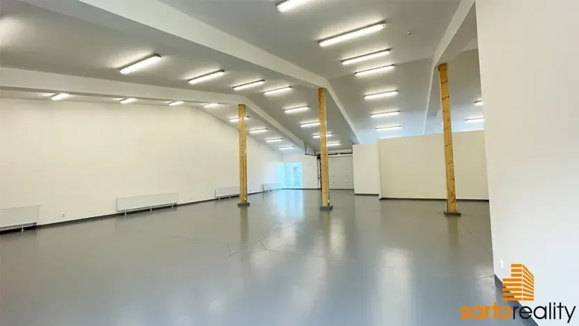 Pronájem obchodního prostoru, Ústí nad Labem, Žižkova, 420 m2