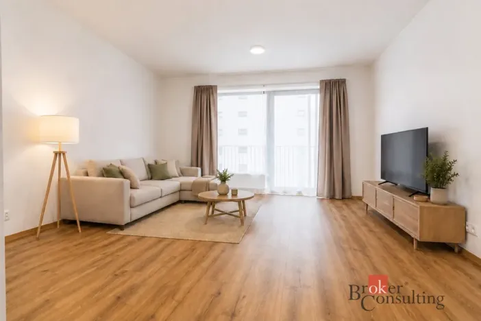 Pronájem bytu 1+kk, Plzeň - Jižní Předměstí, Železná, 47 m2