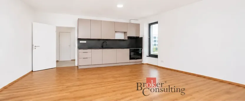 Pronájem bytu 1+kk, Plzeň - Jižní Předměstí, Železná, 47 m2