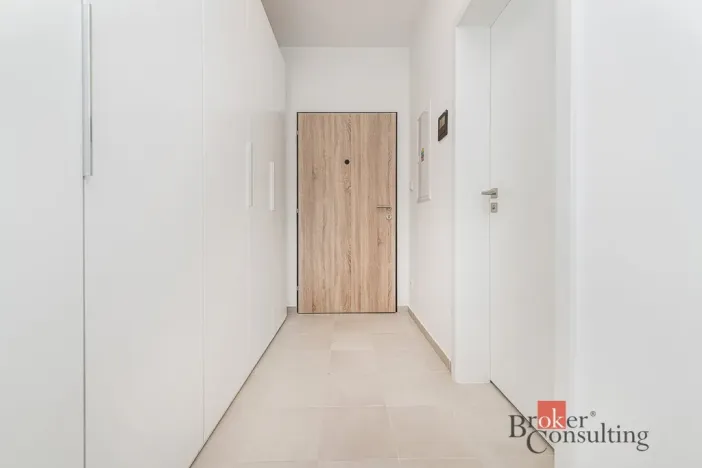 Pronájem bytu 1+kk, Plzeň - Jižní Předměstí, Železná, 47 m2