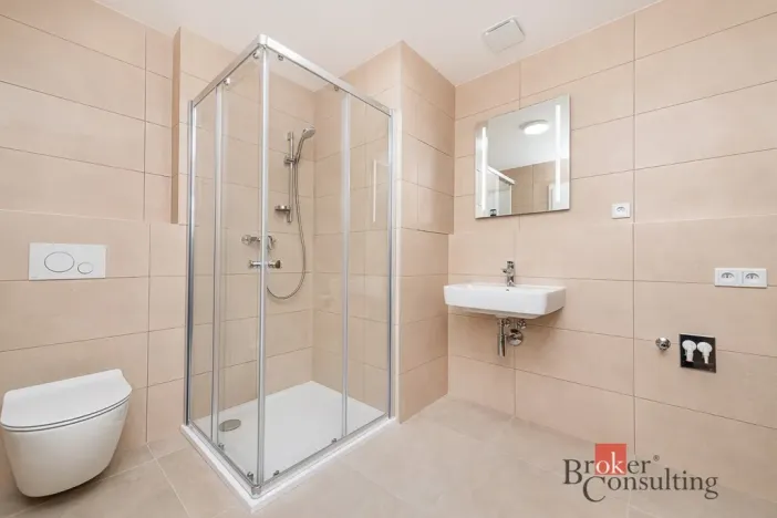 Pronájem bytu 1+kk, Plzeň - Jižní Předměstí, Železná, 47 m2