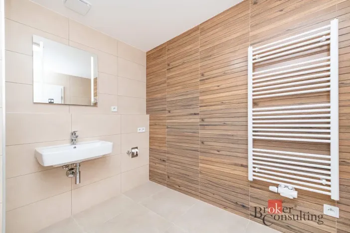 Pronájem bytu 1+kk, Plzeň - Jižní Předměstí, Železná, 47 m2