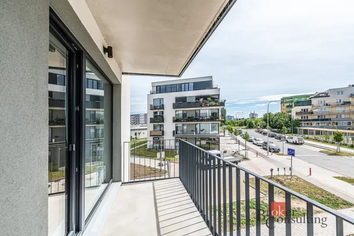 Pronájem bytu 1+kk, Plzeň - Jižní Předměstí, Železná, 47 m2