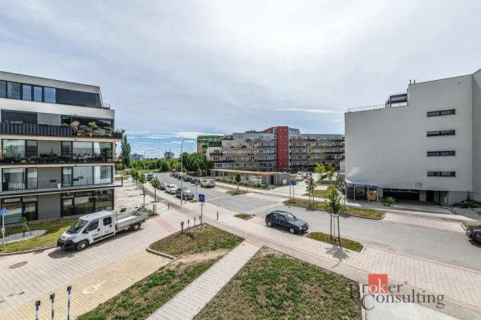 Pronájem bytu 1+kk, Plzeň - Jižní Předměstí, Železná, 47 m2