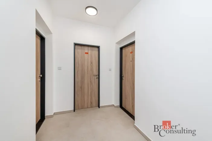 Pronájem bytu 1+kk, Plzeň - Jižní Předměstí, Železná, 47 m2