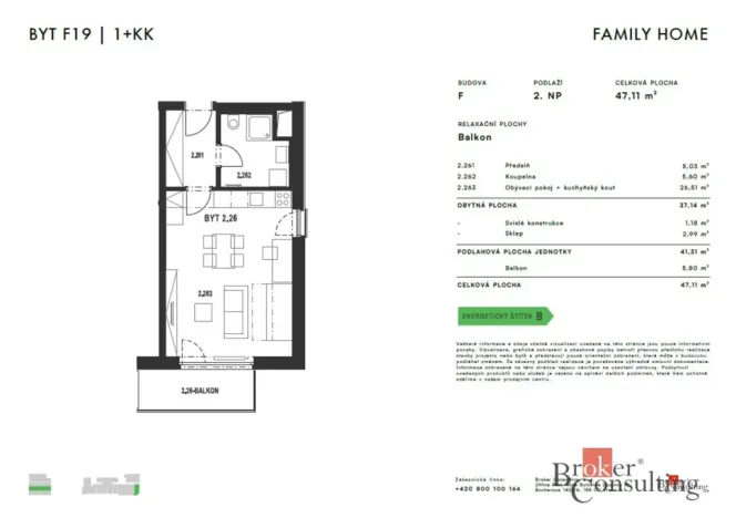 Pronájem bytu 1+kk, Plzeň - Jižní Předměstí, Železná, 47 m2