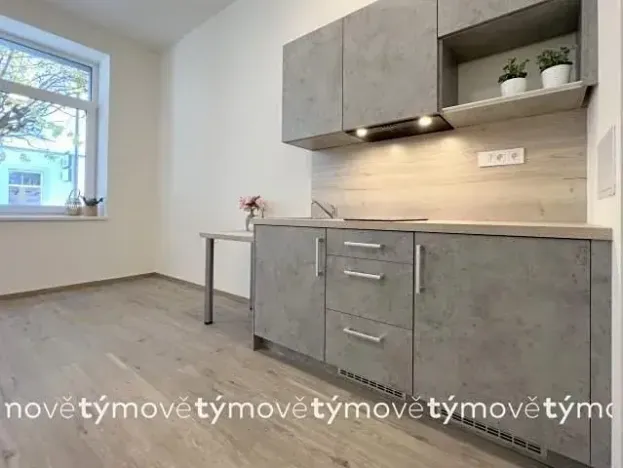 Pronájem bytu 1+kk, Pardubice, Sladkovského, 31 m2