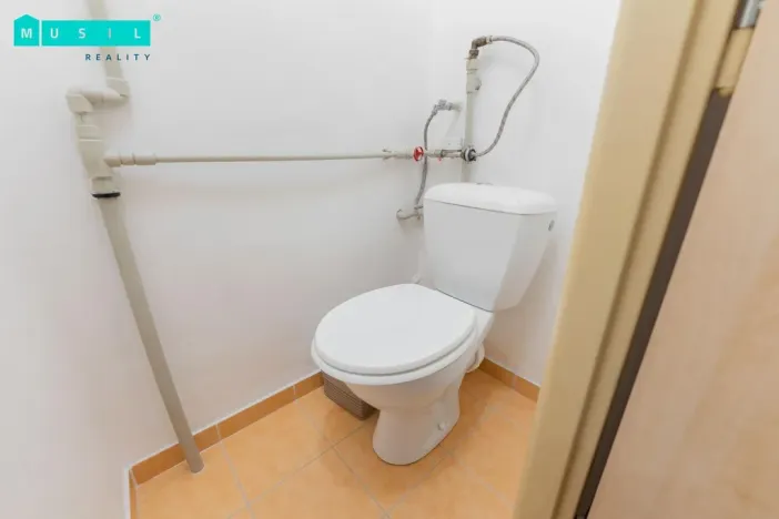 Pronájem bytu 3+1, Olomouc - Nová Ulice, Dvořákova, 80 m2