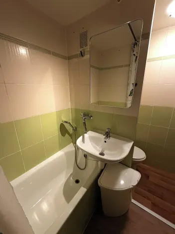 Pronájem bytu 1+1, Židlochovice, sídl. Družba, 34 m2