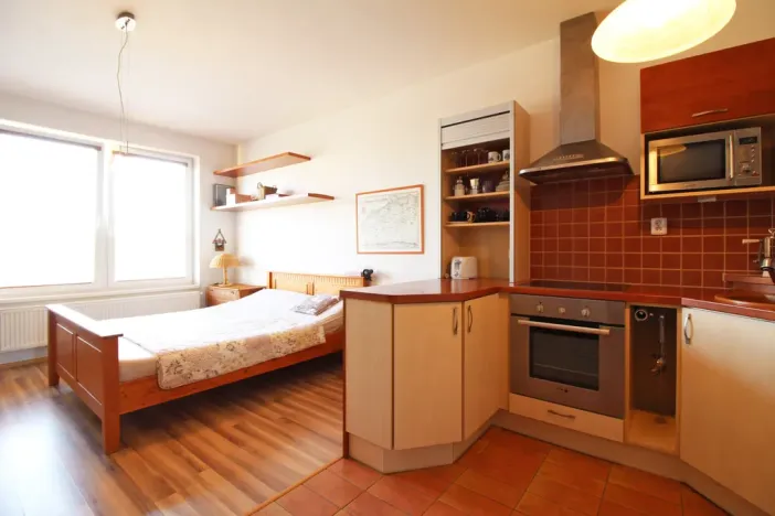 Pronájem bytu 1+kk, Olomouc - Nová Ulice, Okružní, 38 m2
